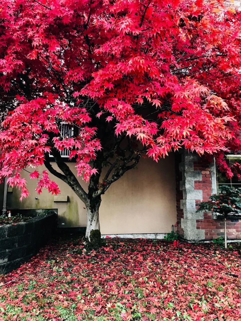 Cedar Manor Bed And Breakfast Pitt Meadows Esterno foto